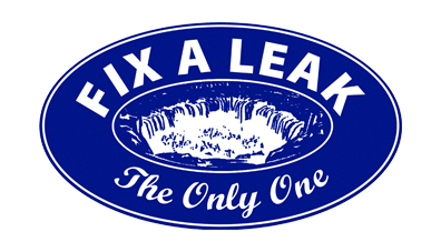Fix a leak